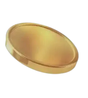 Gold Ledgerix AI